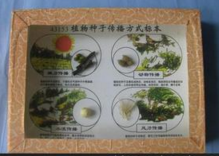 植物種子（zǐ）傳播方式標本